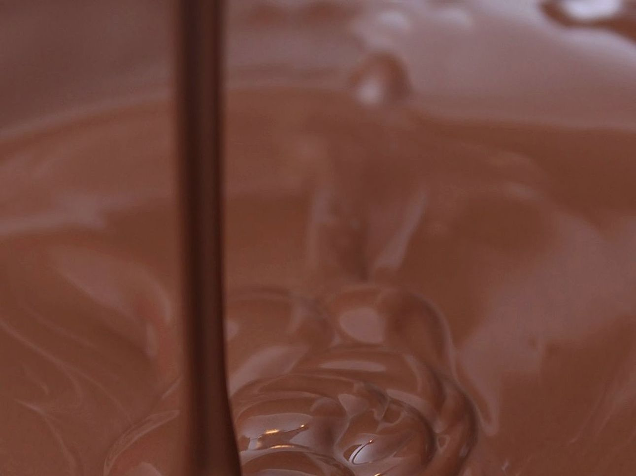 Especialista en chocolates
